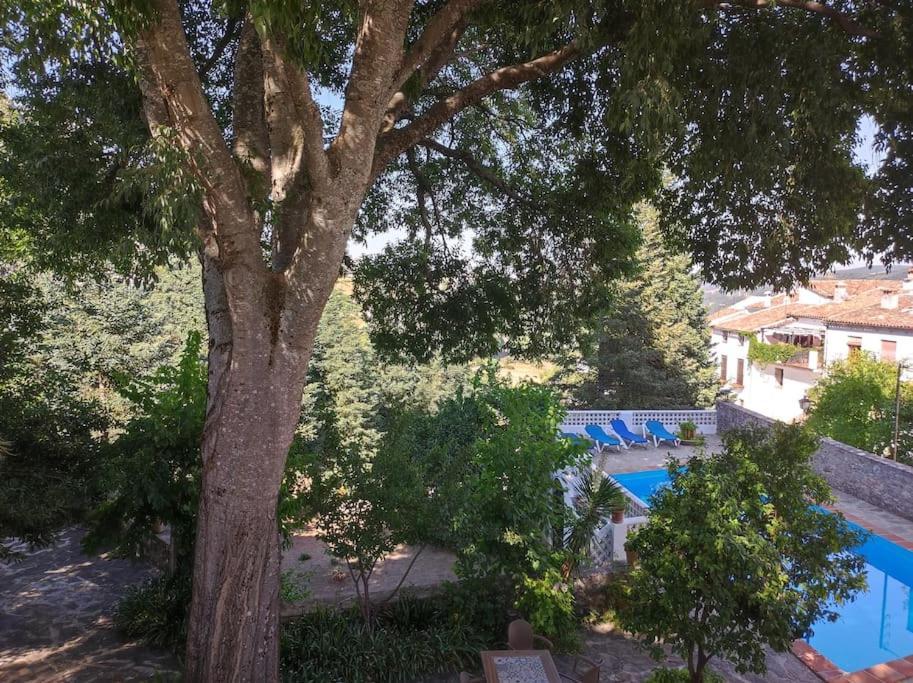 Casa Pomar - Preciosa Casa Con Piscina Y Vistas A La Sierra Grazalema Exterior foto